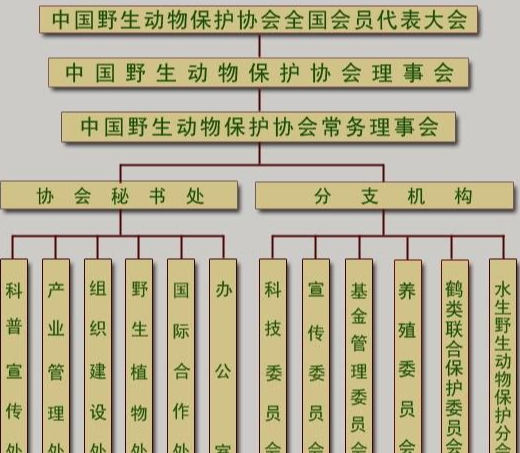 中国野生动物保护协会组织机构图